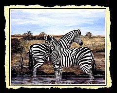 Afrik 3